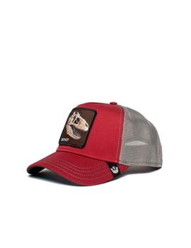 Gorra Goorin Bros Extinct  Marrón