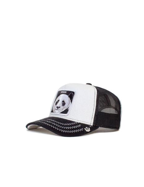 Gallery a06915 dvprqfox