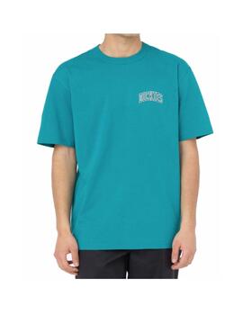 Camiseta Dickies Aitkin Chest Turquesa