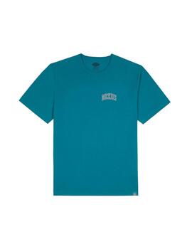 Camiseta Dickies Aitkin Chest Turquesa