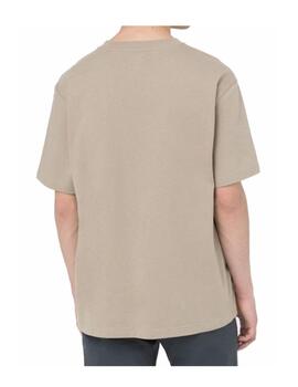 Camiseta Dickies Porterdale Marrón