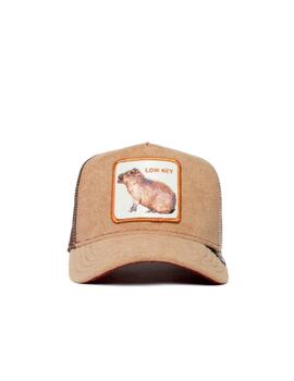 Gorra Goorin Bros Best Mate Beige