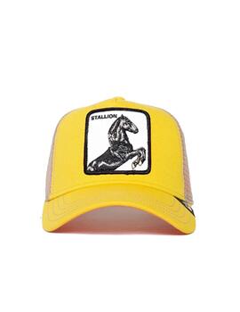 Gorra Goorin Bros The Stallion Amarillo