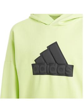 Sudadera Adidas U FI Logo HD Verde/Negro