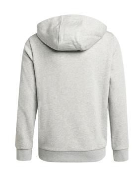 Sudadera Adidas Niño Capaucha Gris