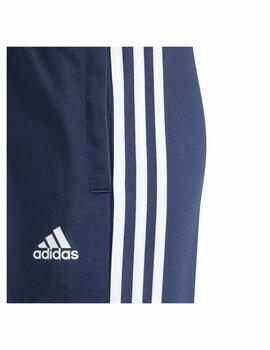 Chandal Adidas U 3S Tiberio Marino/Verde