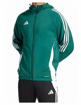 Cortavientos Adidas M Tiro24 WB Verde