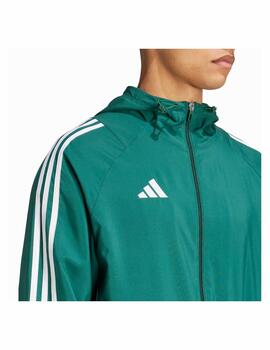 Cortavientos Adidas M Tiro24 WB Verde