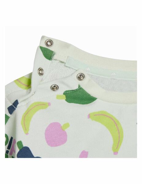 Gallery a09597 tscqlfu9