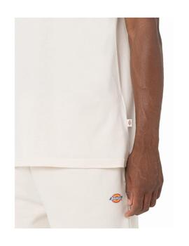 Camiseta Dickies MN Mapleton SS Beige