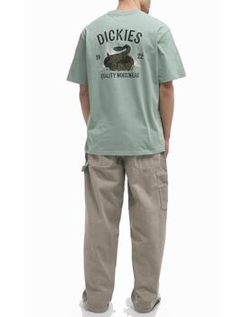 Camiseta Dickies MN Snake SS Verde