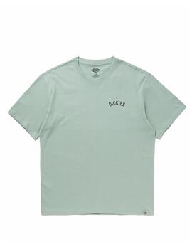 Camiseta Dickies MN Snake SS Verde