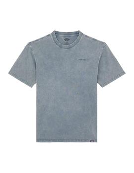 Camiseta Dickies MN Plentywood SS Gris