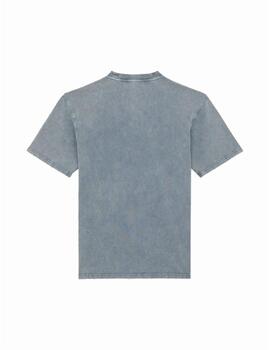 Camiseta Dickies MN Plentywood SS Gris