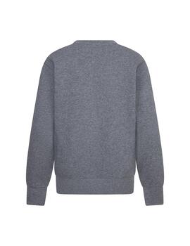Sudadera Jordan Y Brooklyn FLC ESS Crew Gris