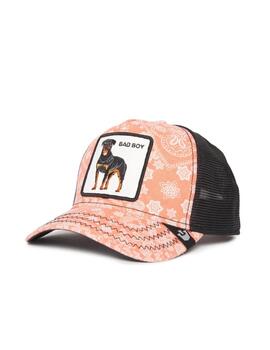 Gorra Goorin Bros Lovesexy Rosa