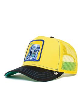 Gorra Goorin Bros Doggy Trip Amarillo/Multi