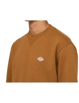 Sudadera Dickies MN Summerdale Crew Marrón