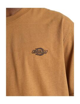 Camiseta Dickies MN Summerdale Marrón