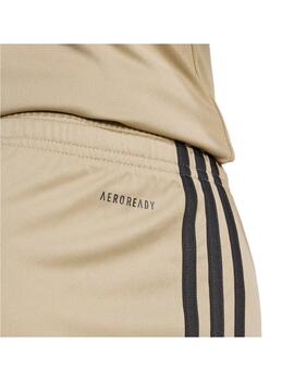 Short Adidas M Squa25 Marrón/Negro para hombre