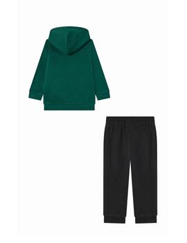 Chándal Champion TD Hooded Full Zip Verde/Negro/Bl
