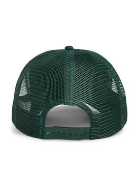 Gorra Goorin Bros The Luchy Duck Verde