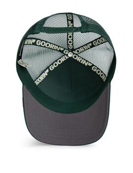 Gorra Goorin Bros The Luchy Duck Verde