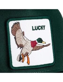 Gorra Goorin Bros The Luchy Duck Verde