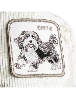 Gorra Goorin Bros Bestie Camo Blanco