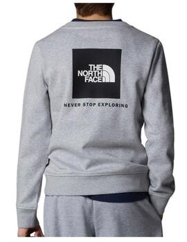 Sudadera TNF YT Teen Box NSE Crew Gris
