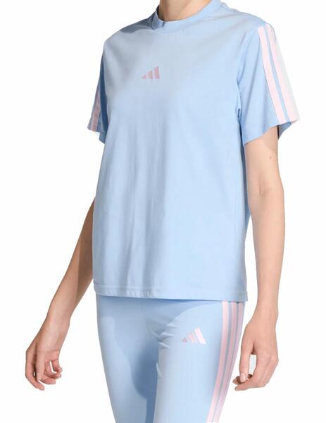 Gallery a14538 bi31msan