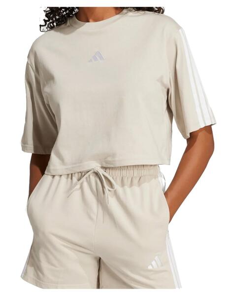 Gallery a14569 sxts6msj