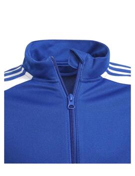 Chaqueta Adidas SQ21 TR Niño Royal/Blanco