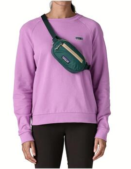 Riñonera Patagonia Terravia Mini Hip 1L Verde