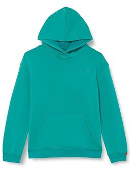 Sudadera Levi´s Pull-Over Hoodie para niño