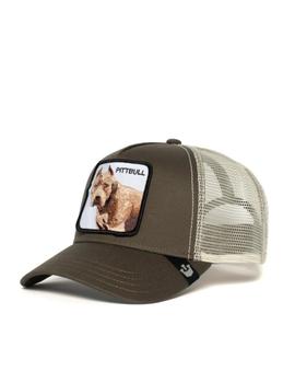 Gorra Goorin Bros The Pitbull Kaki